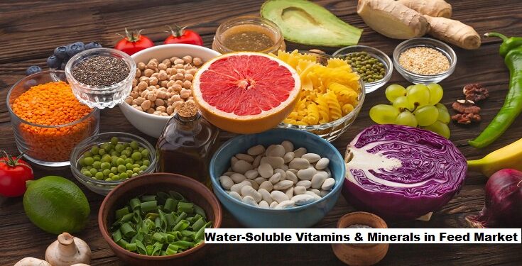 Global Water-Soluble Vitamins & Minerals in Feed Market