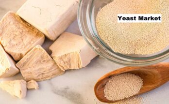 Global Yeast Market