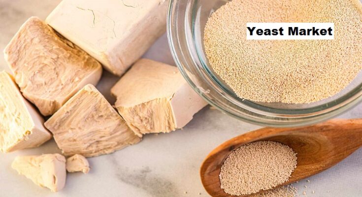 Global Yeast Market