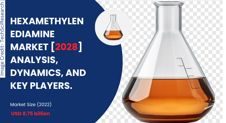 Global Hexamethylenediamine Market stood at USD 8.75 billion in 2022 & will grow with a CAGR of 5.02% in forecast by 2023-2028.