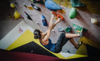 Rock-Climbing Gym Market