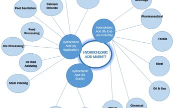 hydrochloric-acid-market-ecosystem