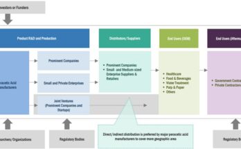 peracetic-acid-market-ecosystem