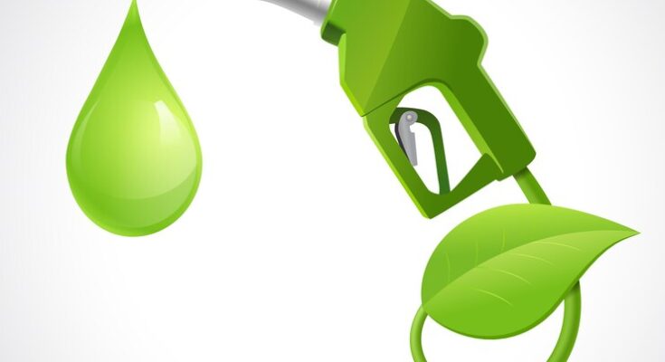 Biodiesel Market