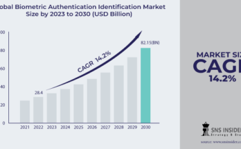 Biometric Authentication Identification Market