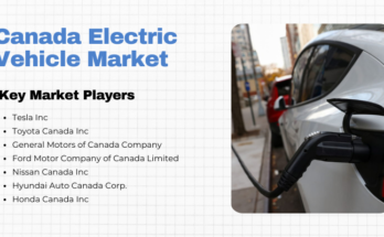 Canada Electric Vehicle Market is set to soar, from 115.90K units in 2022 to new highs, with a robust CAGR of 16.97% (2023-2028).