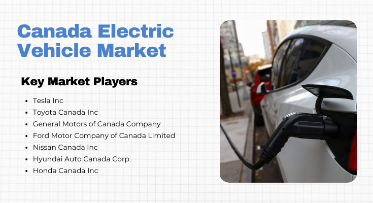 Canada Electric Vehicle Market is set to soar, from 115.90K units in 2022 to new highs, with a robust CAGR of 16.97% (2023-2028).