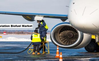 Global Aviation Biofuel Market