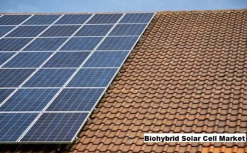 Global Biohybrid Solar Cell Market