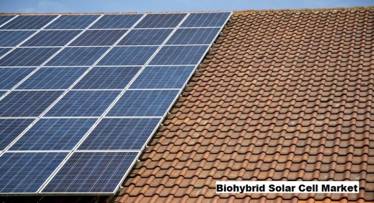 Global Biohybrid Solar Cell Market