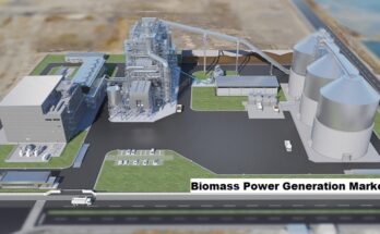 Global Biomass Power Generation Market