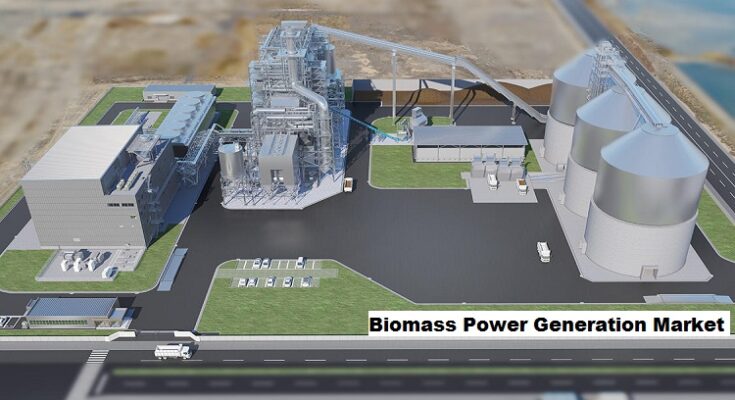 Global Biomass Power Generation Market