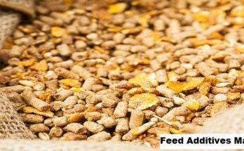 Global Feed Additives Market