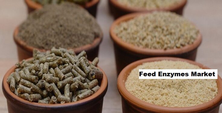 Global Feed Enzymes Market