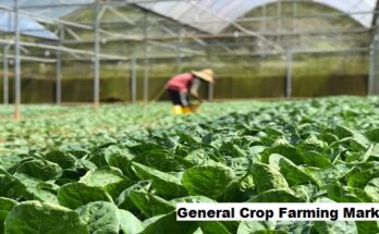 Global General Crop Farming Market