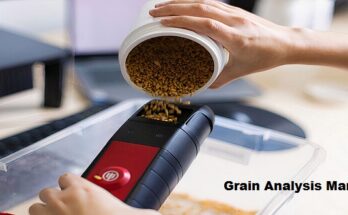 Global Grain Analysis Market