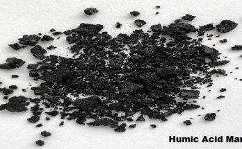 Global Humic Acid Market