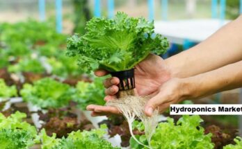 Global Hydroponics Market