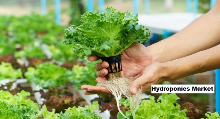 Global Hydroponics Market