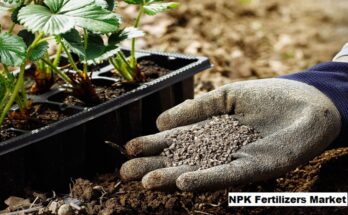 Global NPK Fertilizers Market