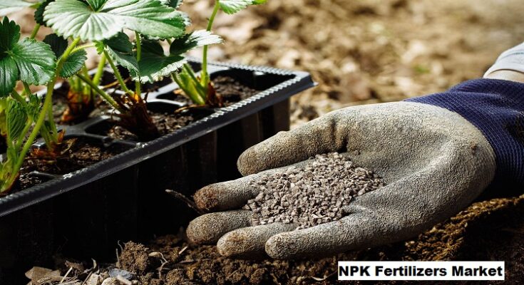 Global NPK Fertilizers Market