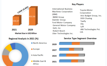 On Demand Transportation Market