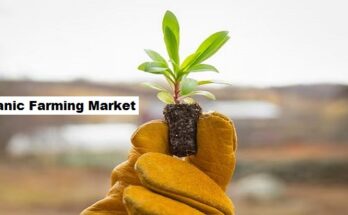 Global Organic Farming Market