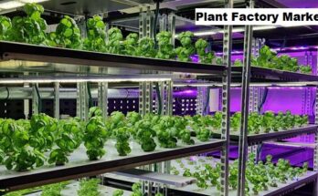 Global Plant Factory Market