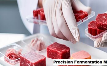 Global Precision Fermentation Market