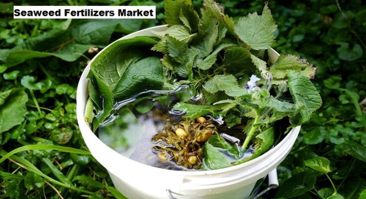 Global Seaweed Fertilizers Market