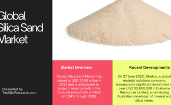 The Global Silica Sand Market reached USD 22.68 billion in 2022 and is projected to grow at a CAGR of 5.24% during 2023-2028.