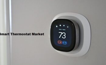 Global Smart Thermostat Market