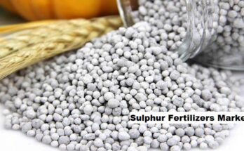 Global Sulphur Fertilizers Market