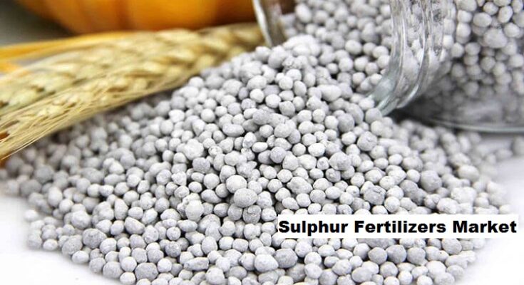 Global Sulphur Fertilizers Market