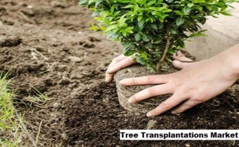 Global Tree Transplantations Market