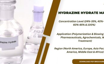 Hydrazine Hydrate Market