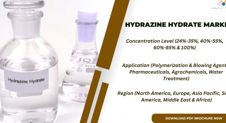 Hydrazine Hydrate Market