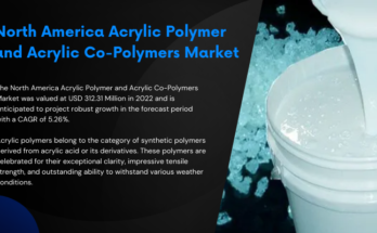 In 2022, the North America Acrylic Polymer and Co-Polymers Market stood at USD 312.31 million, with an expected 5.26% CAGR growth.