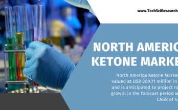 the North America Ketone Market Size is USD 269.71 million in 2022 and this market is anticipated to increase at a CAGR of 4.91%.