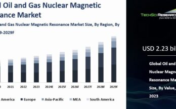 Oil and Gas Nuclear Magnetic Resonance Market