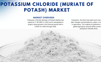 The global Potassium Chloride (Muriate of Potash) Market stood 77.95 MMT in 2022 and is projected to grow at a 3.48% CAGR from 2024 to 2028.