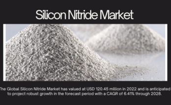 The Global Silicon Nitride Market was valued at $120.45M in 2022 and is expected to grow at a 6.41% CAGR from 2023 to 2028.