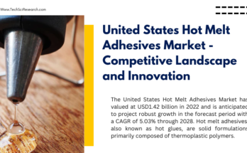 The United States Hot Melt Adhesives Market stood at USD1.42 billion in 2022 & will grow with a CAGR of 5.03% in the forecast 2023-2028.