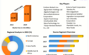 Alternative Protein Market