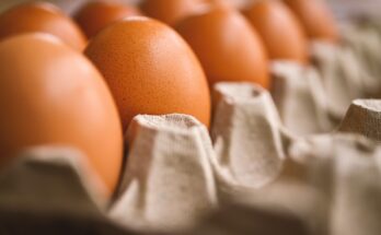 Egg Processing Market