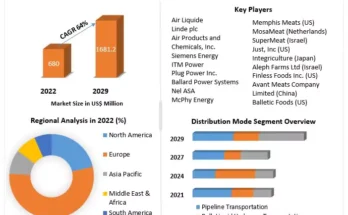 Low-Carbon Hydrogen Market