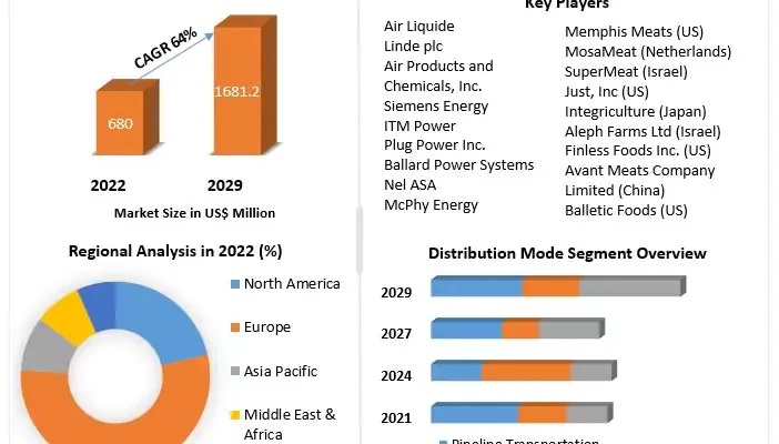 Low-Carbon Hydrogen Market