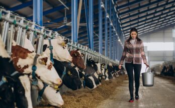 Dairy Herd Management Market