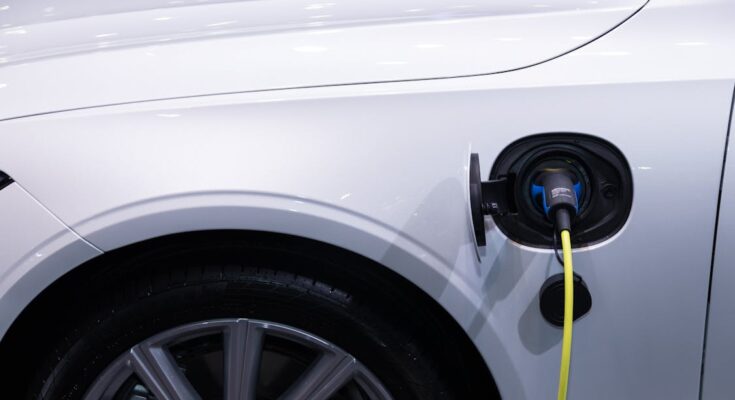 Electric Vehicle Lightweight Materials Global Market