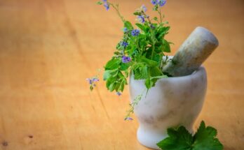 Complementary And Alternative Medicine